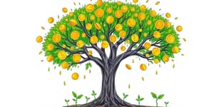 Dividend reinvestment as a long-term engine