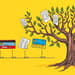 Assess average account age for credit maturity